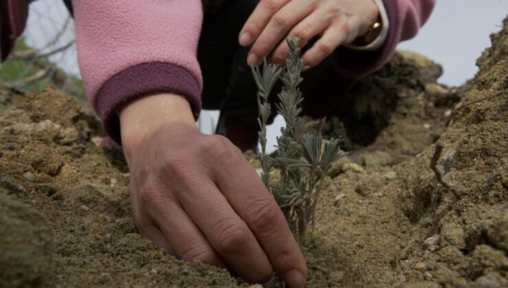 Binlerce çocuğun geleceğine ışık olunacak