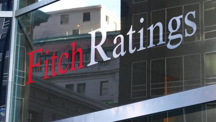 Fitch: Merkez bankalarının indirimleri sert olmayacak