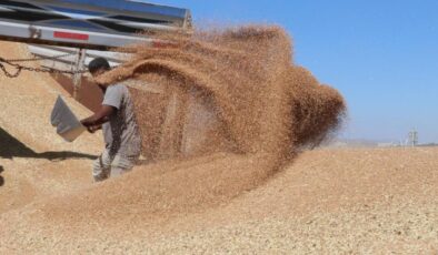 Güneydoğu’nun ocakta hububat ihracatı 282 milyon dolara ulaştı