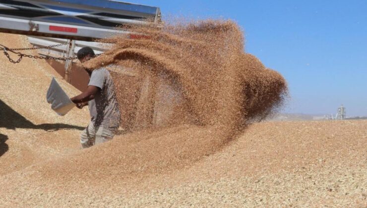 Güneydoğu’nun ocakta hububat ihracatı 282 milyon dolara ulaştı