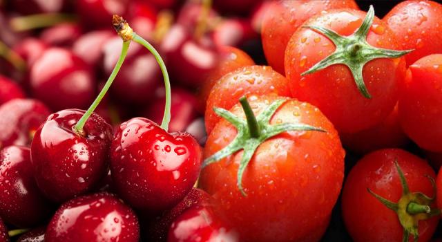 Kiraz ve domates ihracatı olumsuz iklim koşullarına rağmen rekor kırıyor