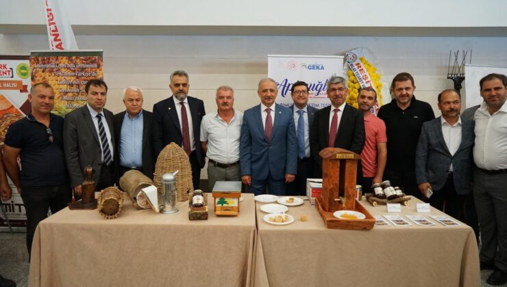 Muğla, zeytinyağı üretiminde dünya ile rekabet edecek