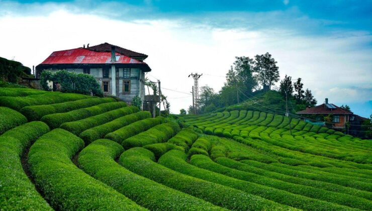 Rize’den 11 ülkeye ihracat rekoru