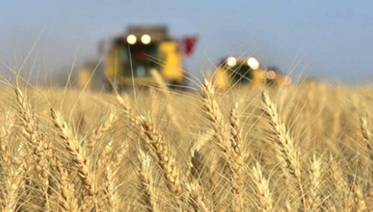 Tarım enflasyonu yüzde 41’e yükseldi