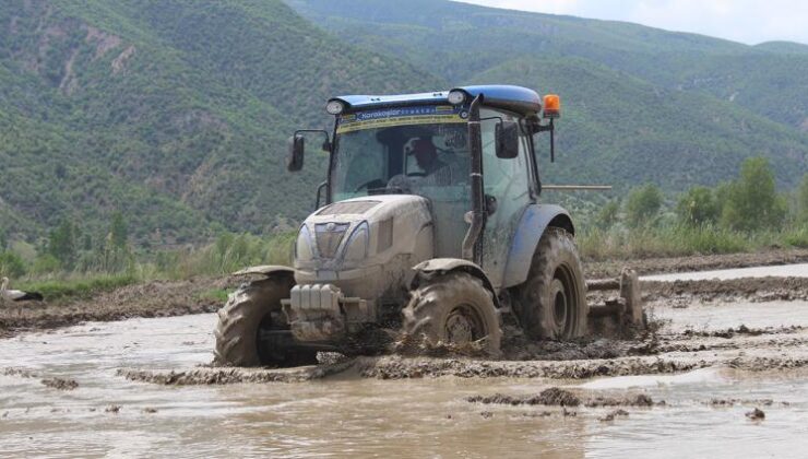 Tosya’da çeltik ekimi başladı