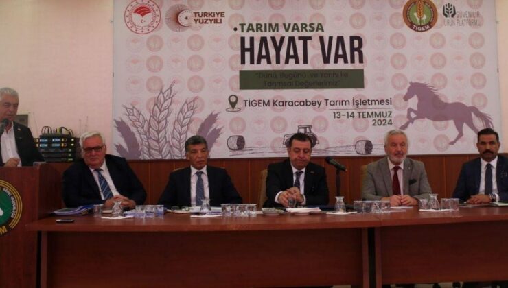 Türkiye’nin en büyük tarım işletmesi 2023 yılında rekorlara doymadı