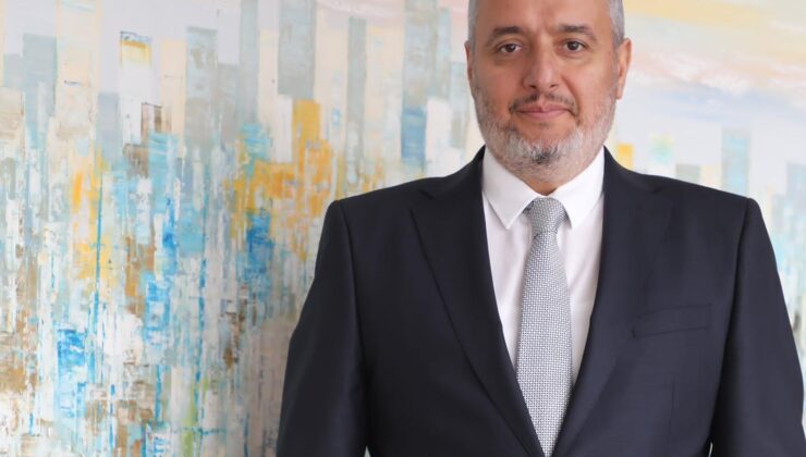 Ülkelerin gelişim sürecinde stratejik sektör