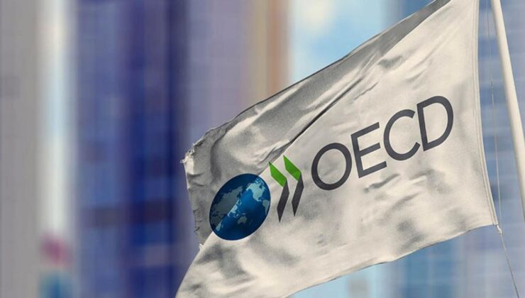 OECD Türkiye için enflasyon ve büyüme tahmininde bulundu