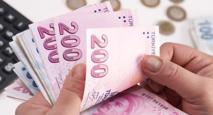 Çiftçilere 252,8 milyon Lira destek ödemesi yapıldı