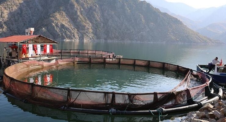 Hedef Deriner Barajı’nda yılda 1,4 milyar Liralık su ürünleri üretimi