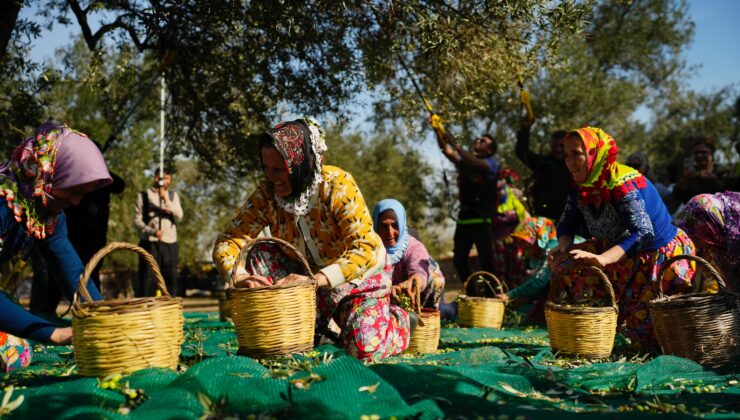 Ayvalık Hasat Festivali’nden çağrı: Taklit ürünler ceza almalı