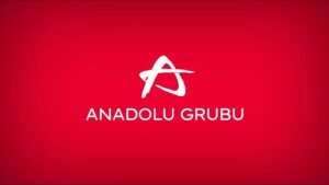 anadolu grubu hisse düştü mü neden düştü