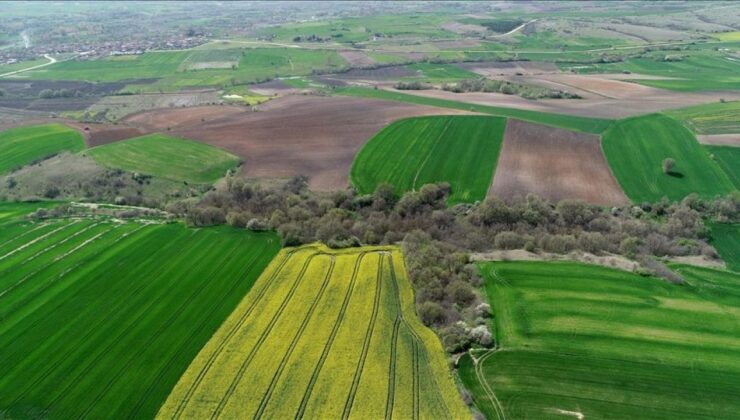 Tapuda imar trans­feri dönemi! Resmi Gazete’de yayımlandı