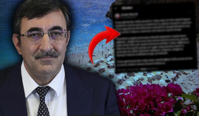 Cumhurbaşkanı Yardımcısı Cevdet Yılmaz turizm gelirini değerlendirdi
