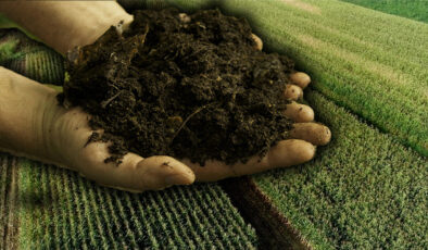 Gübre fiyatları son bir ayda yüzde 10 arttı