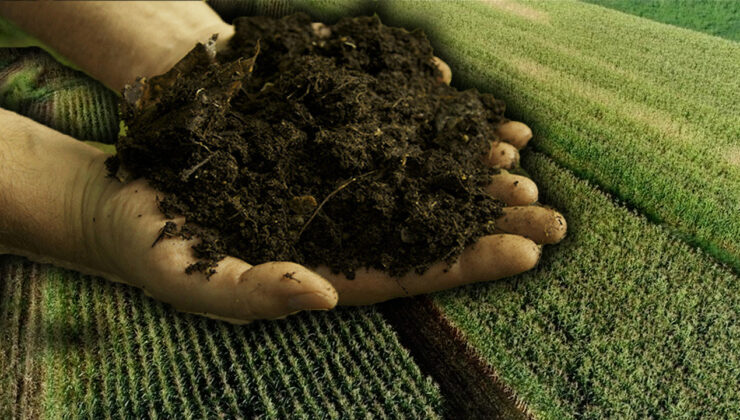 Gübre fiyatları son bir ayda yüzde 10 arttı