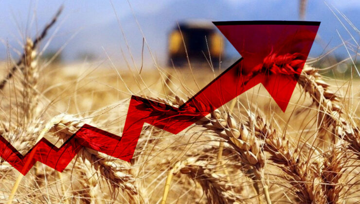 Rusya 2024 yılında tahıl ihracatında 72 milyon tona çıktı