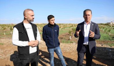 Adana’da Suriyeli işçilerin dönüşü tarım sektörünü ikiye böldü