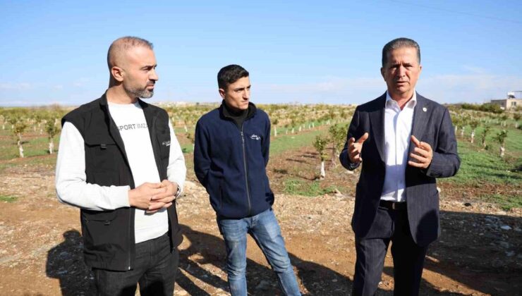 Adana’da Suriyeli işçilerin dönüşü tarım sektörünü ikiye böldü