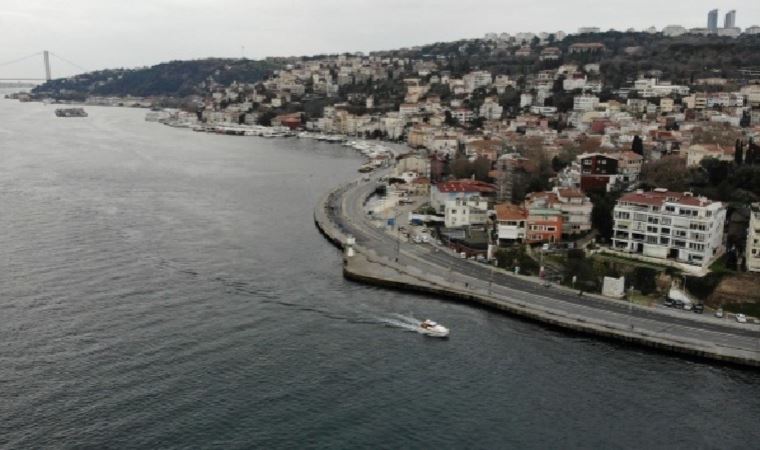 bebek