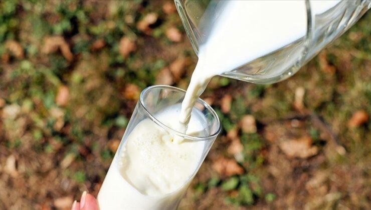 TÜSEDAD 1 litre çiğ süt fiyatının 23,52 TL olmasını önerdi