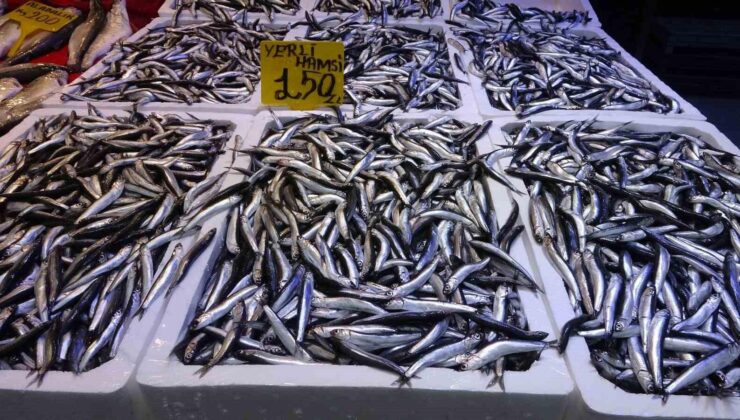 Karadeniz’de Fırtına ve Hamsi Azalması Fiyatları Yükseltti