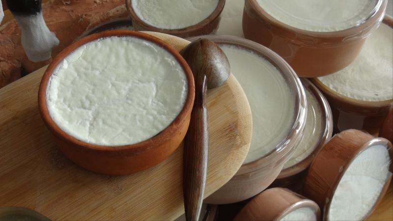 silifke yoğurdu