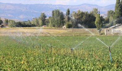 Sulama projelerine 97,7 milyar lira bütçe ayrıldı