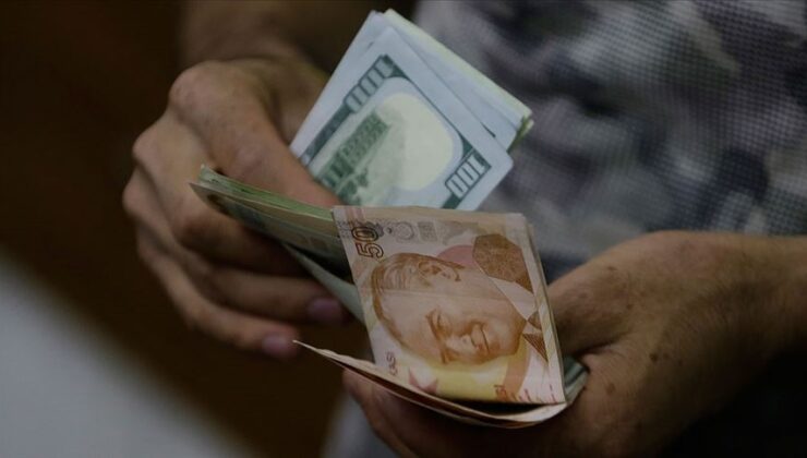 2024’te yabancı girişi 43.7 milyar $ olurken TL’ye geçiş hızlandı