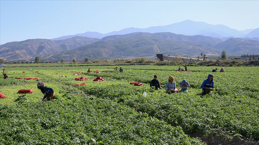 Tarım işçiliği geleceğin en hızlı büyüyen mesleği olacak