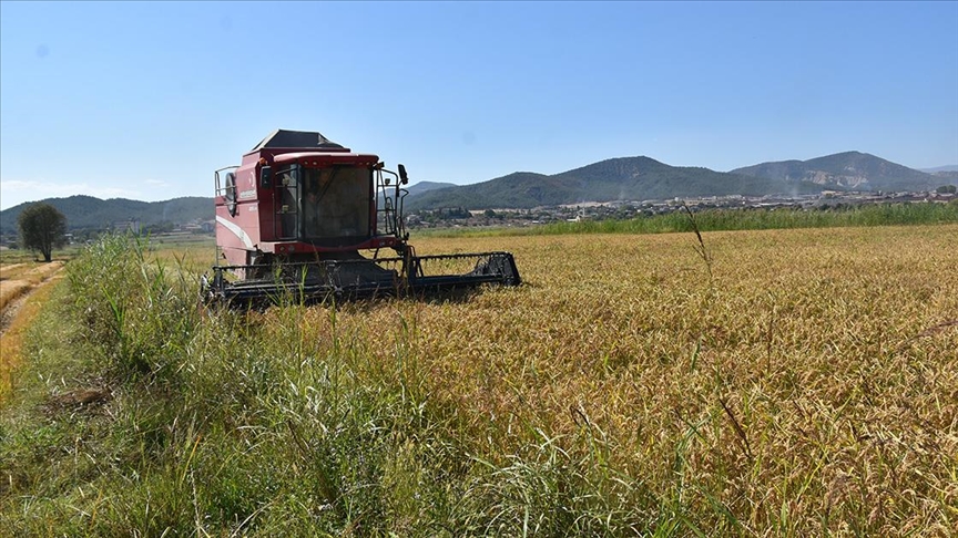 kuzka çankırı Sinop Kastamonu projeleri