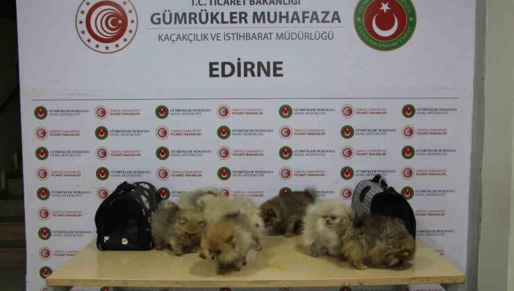 Gümrük Muhafaza Ekipleri 676 milyon TL değerinde araç ele geçirdi
