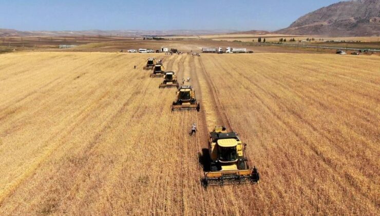TÜİK’e göre tarımsal girdi fiyat endeksi yüzde 32,92 arttı