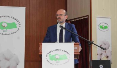 Aydın pamuk desteklemesi ne kadar 2025, fiyatı kaç TL belli oldu!