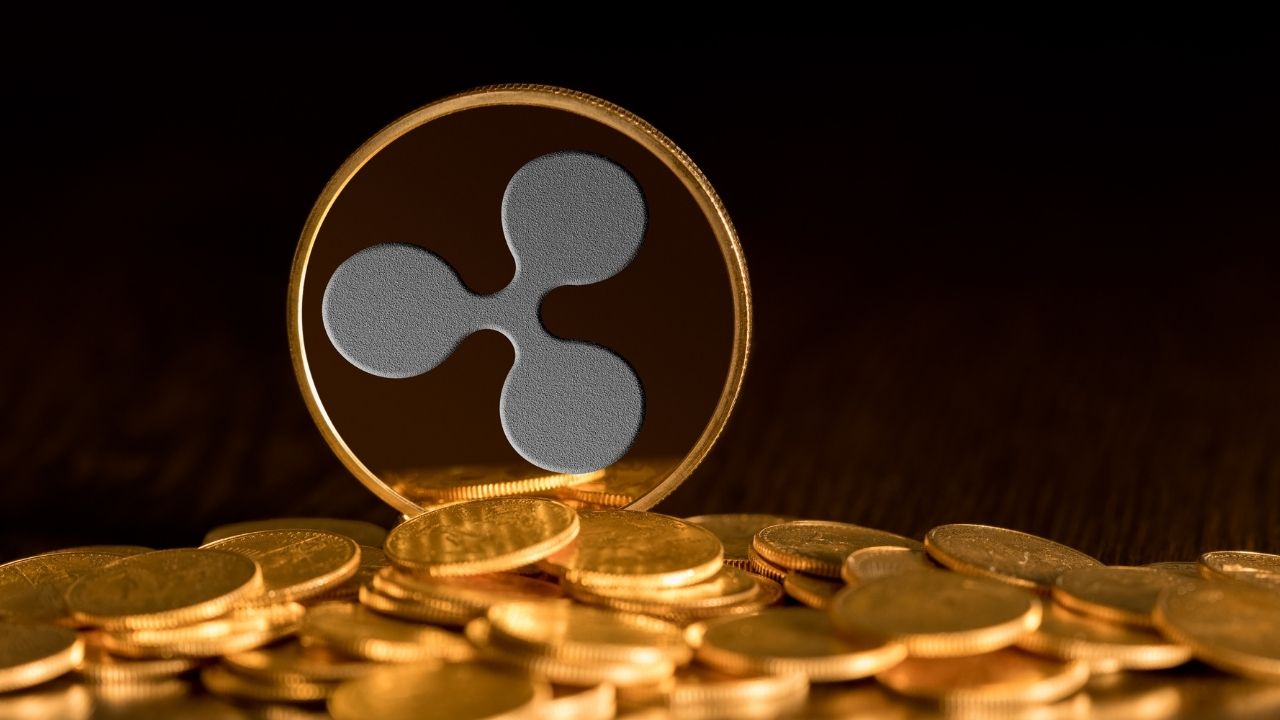 xrp coin 100 tl olur mu