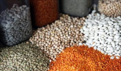 Hububat ürünleri rekoltesinde, gelecek aylardaki yağışlar belirleyici olacak