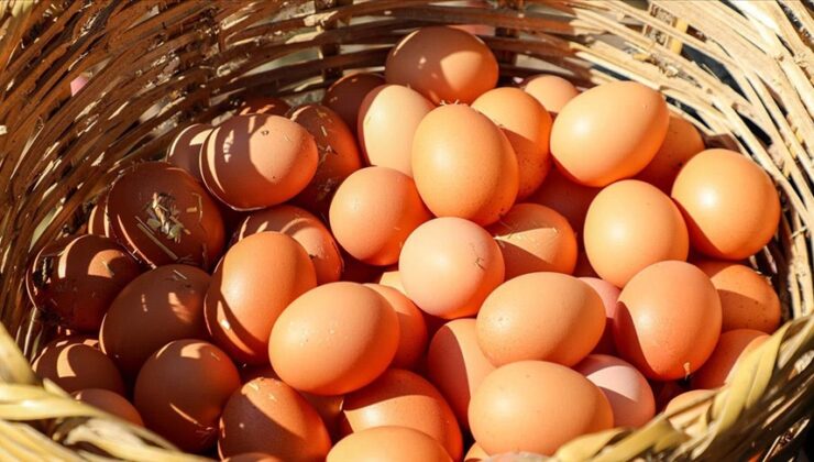 Yumurtaya zam var mı? Kuş gribi Türkiye’yi etkileyecek mi Bakan açıkladı