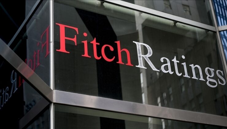 Fitch direktöründen Türkiye değerlendirmesi