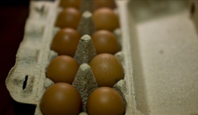 ABD’deki kuş gribi krizi Türk yumurtasına talebi artırdı
