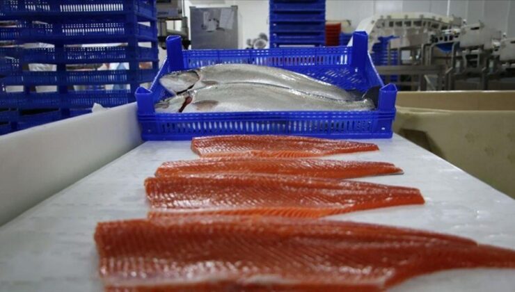 Doğu Karadeniz’den 2 ayda 8,6 milyon dolarlık Türk somonu ihraç edildi