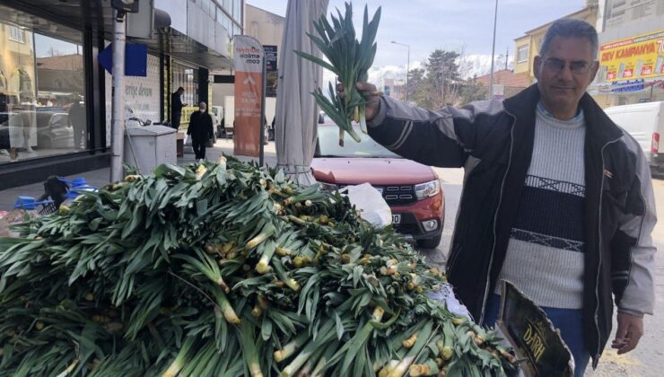 Çiriş otunun kilosu ve faydaları
