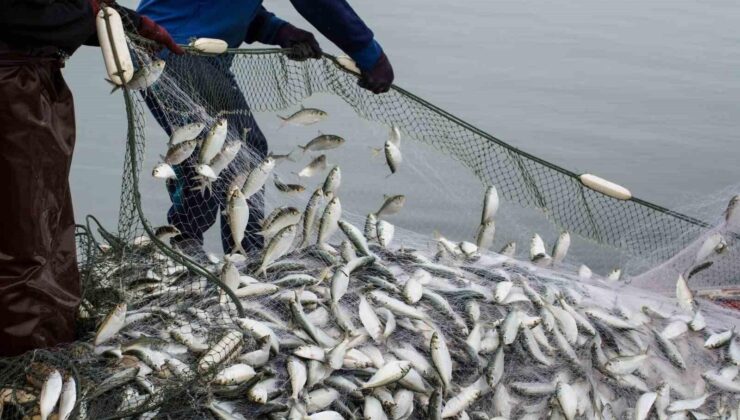 Muğla’da su ürünleri ihracatı Şubat ayında 86,3 milyon dolar oldu