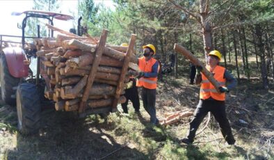Muğla Orman Bölge Müdürlüğü işçi alımı başvuru şartları ve kura çekiliş tarihi 2025