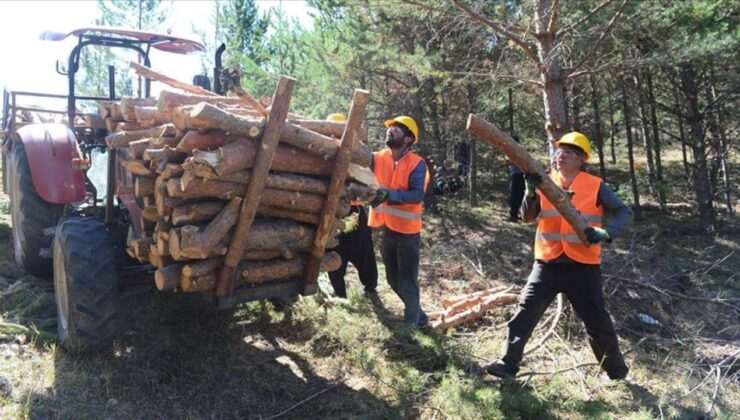 Muğla Orman Bölge Müdürlüğü işçi alımı başvuru şartları ve kura çekiliş tarihi 2025