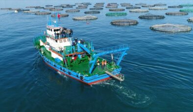Doğu Karadeniz’in ilk 2 ayda su ürünleri ihracat geliri 15 milyon doları aştı