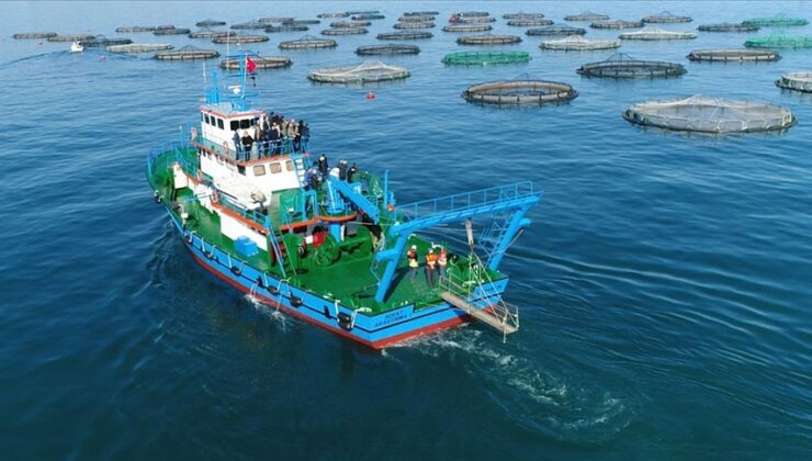 Doğu Karadeniz’in ilk 2 ayda su ürünleri ihracat geliri 15 milyon doları aştı