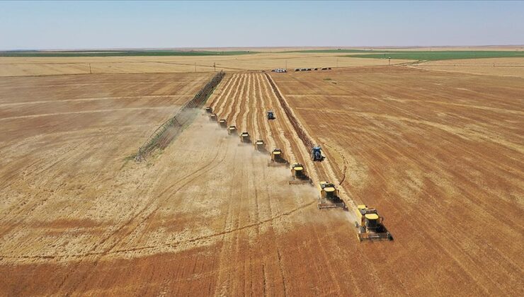Tarım arazilerinin etkinleştirilmesi için 2025’te 679 milyon lira ödenek ayrıldı