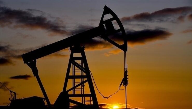 OPEC’in ham petrol üretimi şubatta günlük 154 bin varil arttı