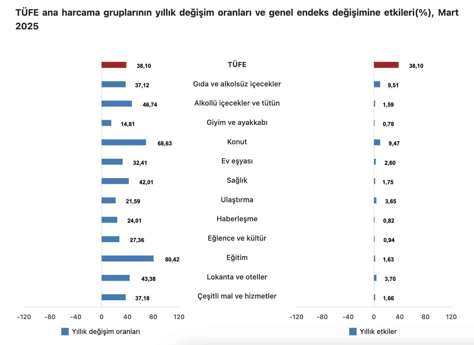 tüfe 2025 mart türk enflasyon rakamları