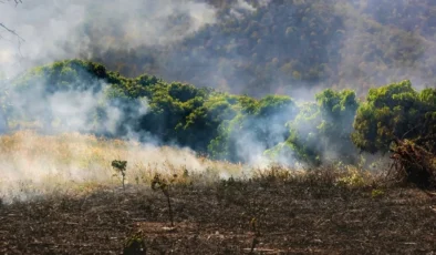 Paris İklim Anlaşması Meclis’ten geçti mi?